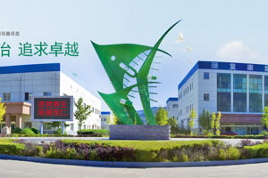 頸復康集團-生產的藥品穩(wěn)定性試驗箱,三箱綜合藥品穩(wěn)定性試驗箱在頸復康多家公司使用